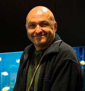 Wolfgang Bohle